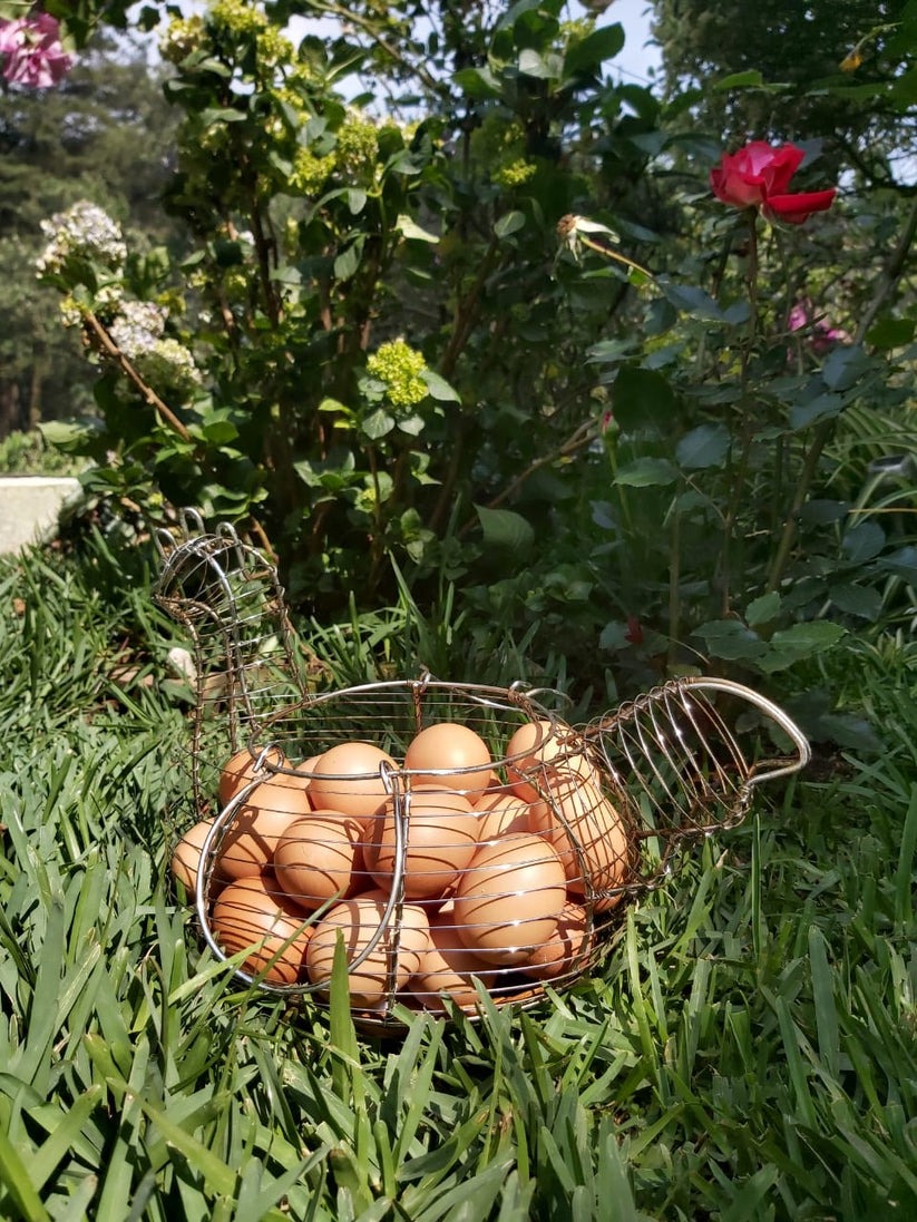 Huevos orgánicos