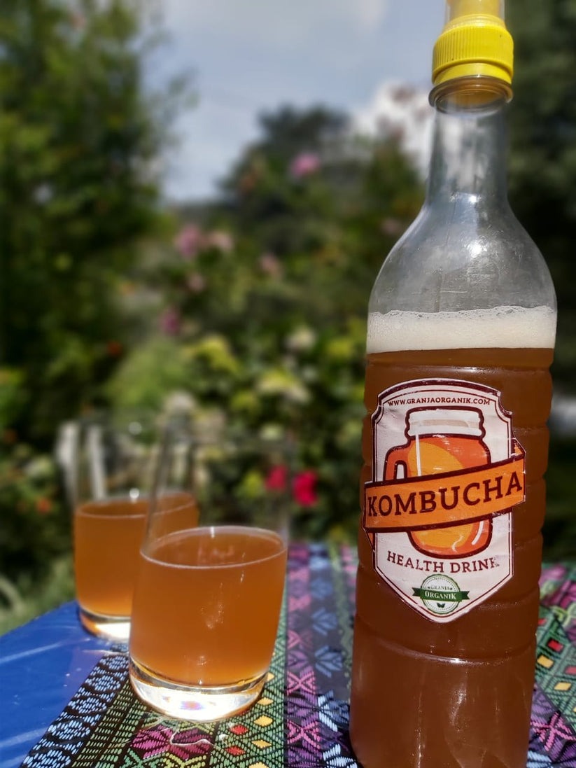 Kombucha