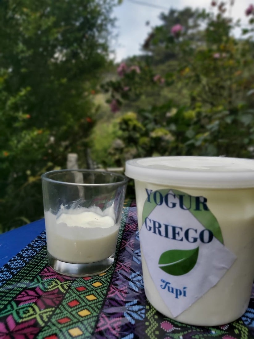Yogur griego sin azúcar